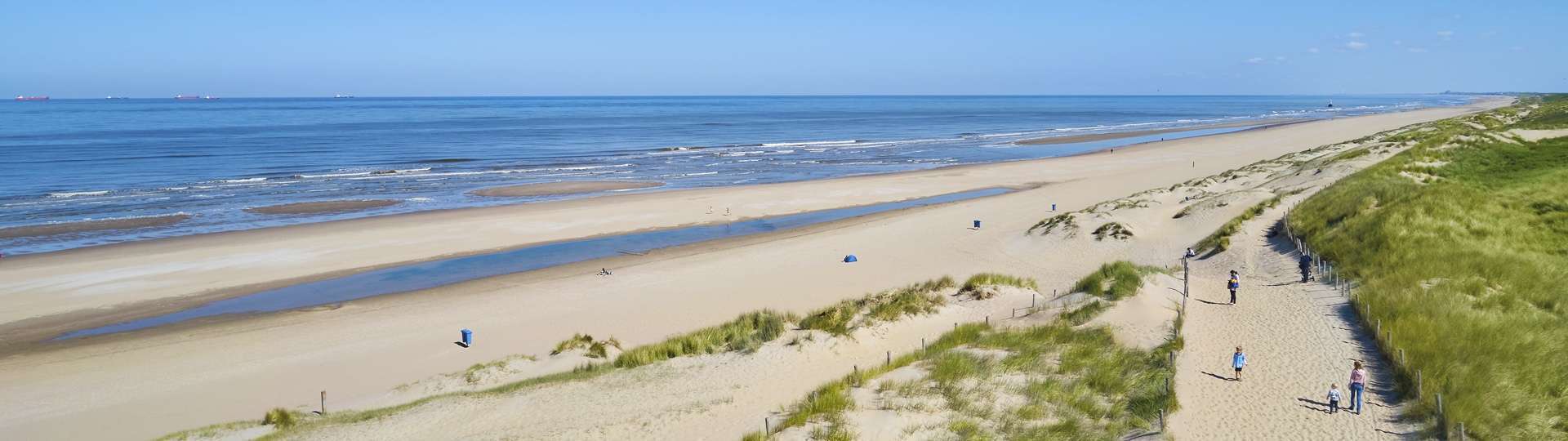 Discover the surroundings